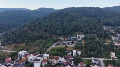 Bursa Nil&uuml;fer'de ayı paniği!