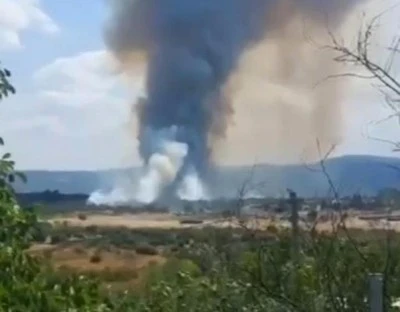 Bursa Nil&uuml;fer'de orman yangını