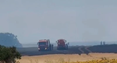 Bursa Nil&uuml;fer'de yangın 