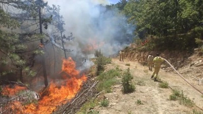 Bursa'nın 2 il&ccedil;esinde orman yangını
