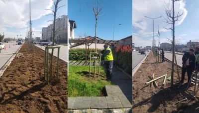 Bursa'nın 700 yıllık mirası 700 &ccedil;ınarla k&ouml;k salıyor