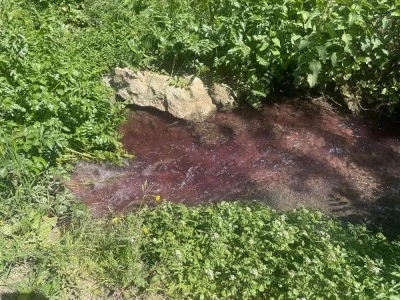 Bursa'nın turşucu k&ouml;y&uuml; olarak bilinen Gedelek'te tepkiler b&uuml;y&uuml;yor