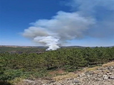 Bursa Orhaneli&rsquo;de alevler yeniden canlandı