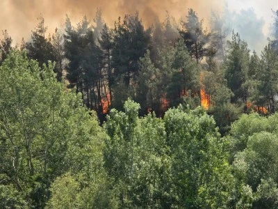 Bursa Orhaneli'de ormanlık alanda yangın