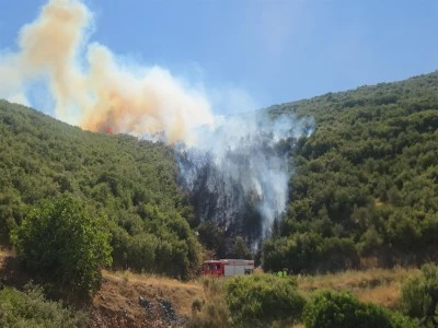Bursa Orhangazi'de yangın