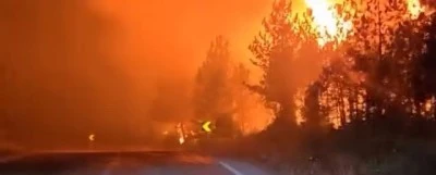 Bursa'da orman yangınını s&ouml;nd&uuml;r&uuml;rken alev kapanında kaldılar