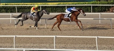 Bursa Osmangazi Hipodromu'nda nefes kesen yarış