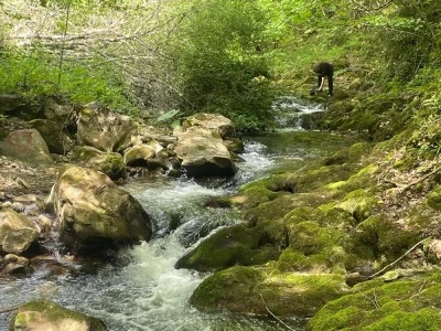 Bursa Sansarak Kanyonu doğa tutkunlarını bekliyor