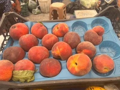 Bursa şeftalisini bu yaz pahalıya t&uuml;keteceğiz