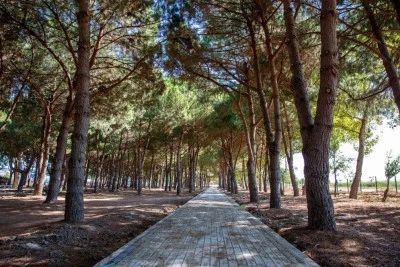 Bursa'ya 24 bin metrekarelik yeşil alan 