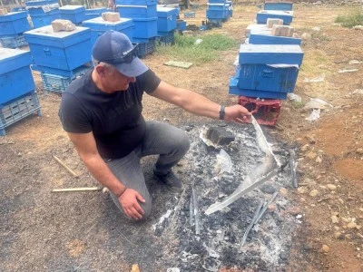 Bursa yangınlarında milyonlarca arı telef oldu