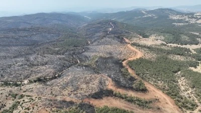 Bursa yangınlarında yaklaşık 3 milyon ağa&ccedil; yandı