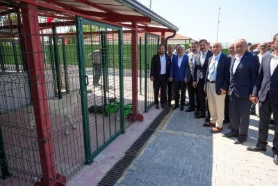 Bursa Yenişehir Belediyesi'nden can dostlarımız i&ccedil;in modern tesis