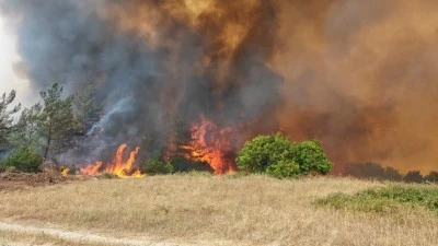 Bursa Yenişehir'de &ccedil;ıkan orman yangınında son durum! 