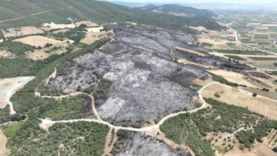 Bursa Yenişehir'de &ccedil;ıkan yangının bilan&ccedil;osu