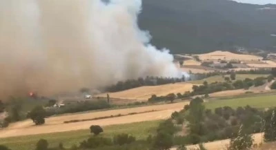 Bursa Yenişehir'de orman yangını