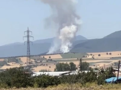 Bursa Yenişehir'de orman yangını 