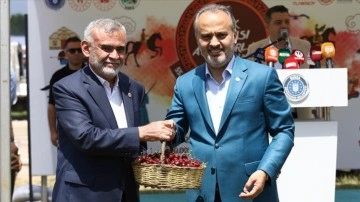 Bursa'da &uuml;retilen "Keles kirazı"nın coğrafi işaret tescili yapıldı