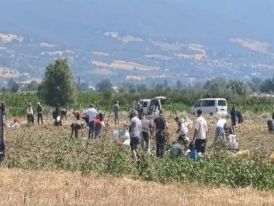 Bursalı &ccedil;ift&ccedil;i maliyetini karşılamadığı patatesleri vatandaşa verdi