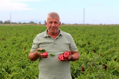 Bursalı &ccedil;ift&ccedil;ilerden &ccedil;ağrı: &Uuml;retim maliyetleri baskılanamaz hale geldi
