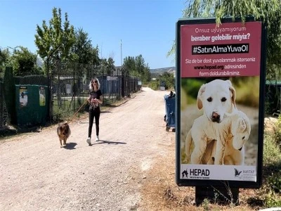 Bursalı g&ouml;n&uuml;ll&uuml;ler sahiplenmeyi bekleyen 1000'e yakın can dostumuza bakıyor