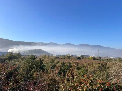 Bursalılar zehir soluyor 