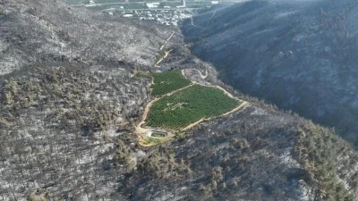 B&uuml;y&uuml;k Bursa yangınında yanmayan b&ouml;lge