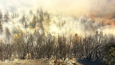 B&uuml;y&uuml;korhan'daki orman yangına m&uuml;dahale s&uuml;r&uuml;yor