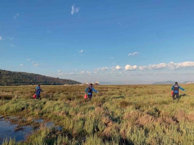B&uuml;y&uuml;kşehir Belediyesi&rsquo;nden G&uuml;ll&uuml;k Mahallesi&rsquo;nde 60 hektar alanda ila&ccedil;lama
