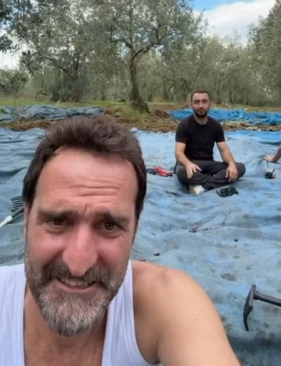&Ccedil;akallarla Dans&rsquo;ın K&ouml;fte Necmi&rsquo;si İznik'te ilk zeytin hasadını yaptı