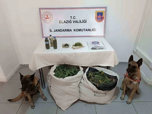 &Ccedil;akmak gazıyla esrarın kalitesini arttırmaya &ccedil;alışmışlar: Elazığ&rsquo;da uyuşturucu tacirlerine darbe
