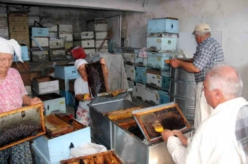 &Ccedil;am balında rekolte beklentisi 14-15 bin ton
