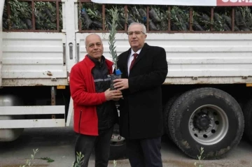 &Ccedil;amelili &ccedil;ift&ccedil;ilere 5 bin adet zeytin fidanı dağıtıldı
