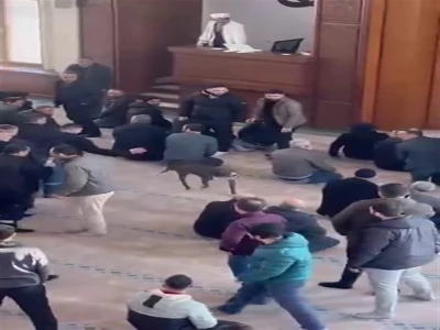 Camiye giren pitbullun sahibine adli ve idari işlem yapıldı