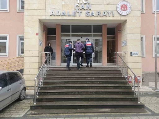 &Ccedil;an&rsquo;da 1 kişinin &ouml;ld&uuml;ğ&uuml; &ccedil;aya u&ccedil;an otomobilin s&uuml;r&uuml;c&uuml;s&uuml; serbest bırakıldı
