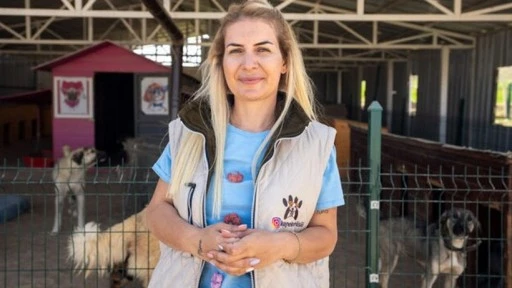 Can dostlarımızı kullanarak b&uuml;y&uuml;k vurgun yaptılar