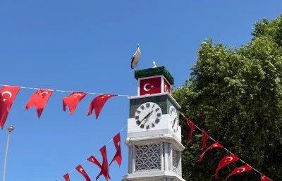 Can ve Canan leylek yuvalarına geldi