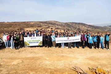 &Ccedil;anakkale&rsquo;de 1000 fidanlık orman
