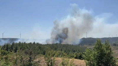 &Ccedil;anakkale'de bir orman yangını daha! 