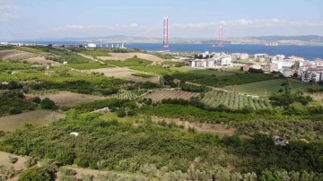 &Ccedil;anakkale&rsquo;de emlak fırsatları altın değerinde, k&ouml;ylerde arsa fiyatları rekor kırıyor