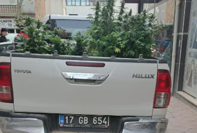 &Ccedil;anakkale&rsquo;de evinde kenevir yetiştiren şahıs g&ouml;zaltına alındı