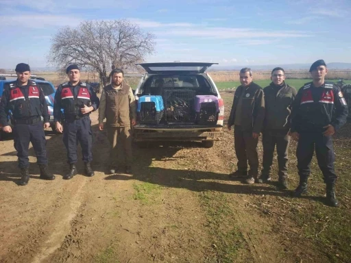 &Ccedil;anakkale&rsquo;de ka&ccedil;ak av operasyonuna 70 bin TL ceza