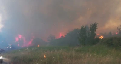 &Ccedil;anakkale'de orman yangını