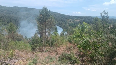 &Ccedil;anakkale&rsquo;de orman yangını kontrol altına alındı
