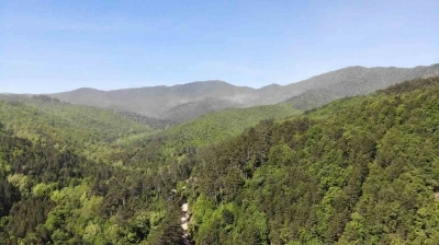 &Ccedil;anakkale&rsquo;de ormanlık alanlara giriş yasaklandı
