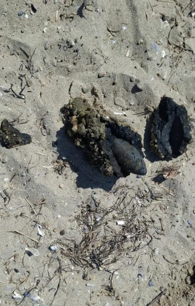 &Ccedil;anakkale'de plajda savaştan kalma olduğu değerlendirilen askeri m&uuml;himmat bulundu