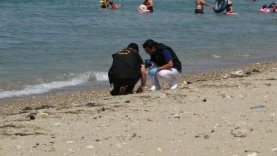 &Ccedil;anakkale'de plajda savaştan kalma olduğu değerlendirilen askeri m&uuml;himmat bulundu