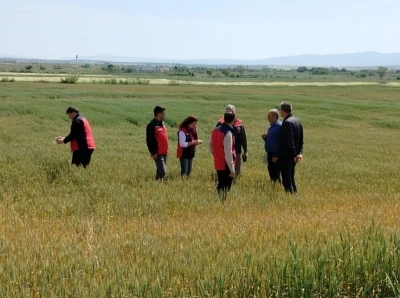 &Ccedil;anakkale&rsquo;de &uuml;reticilerin ekili dikili alanlarında saha incelemesi yapıldı
