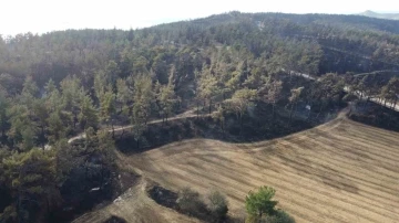 &Ccedil;anakkale&rsquo;deki yangında &ccedil;iftliğinde 5 milyon TL zarar oluştu
