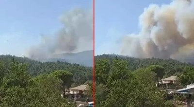&Ccedil;anakkale Gelibolu'da orman yangını